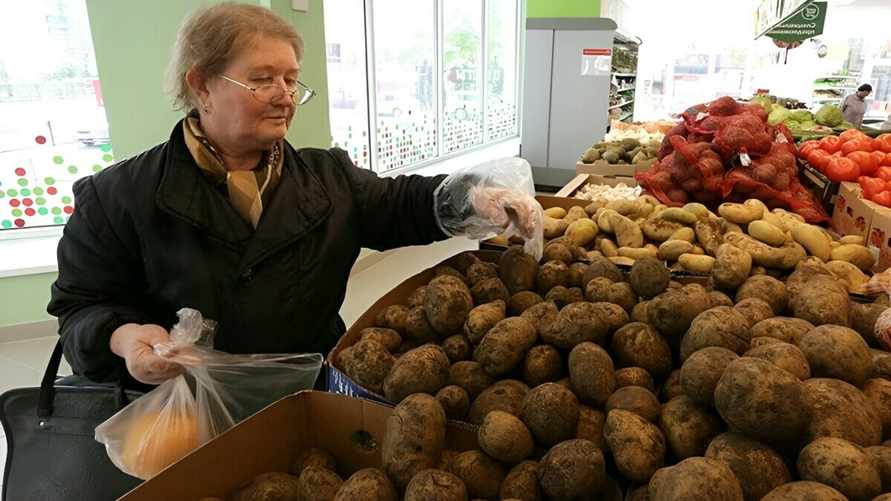 В МАРТ предложили белорусам жаловаться на дорогие картошку и капусту. По каким телефонами звонить?