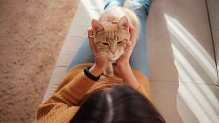 Почему у кошек часто один «любимчик» среди людей? Ветеринар назвала 3 фактора, которые расположат к вам питомца