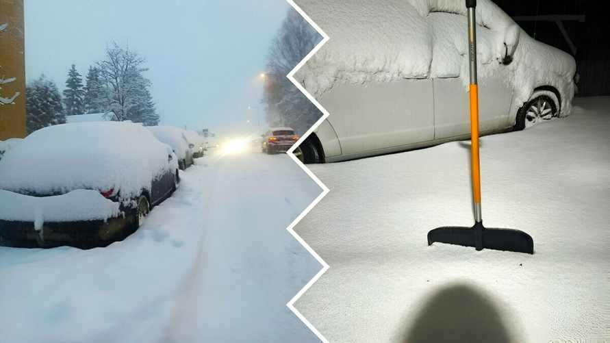 Фото: соцсети