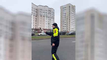 «Больше вреда, чем пользы» — ГАИ напомнила водителям об обязательной наклейке на машине. Не все белорусы согласились