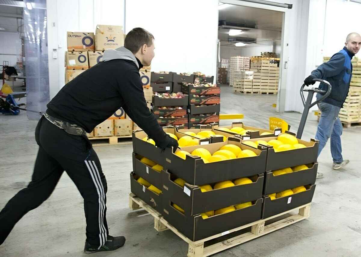 Минздрав предложил запретить магазинам, расположенным в жилых домах, разгружать машины с 23:00 до 7:00