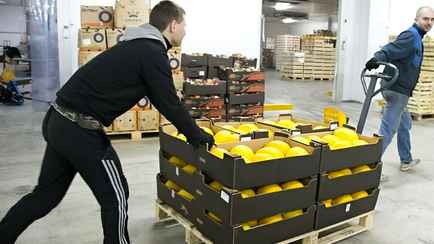 Минздрав предложил запретить магазинам, расположенным в жилых домах, разгружать машины с 23:00 до 7:00