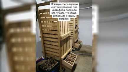 В TikTok показали «автокормушку белоруса». Как работает?