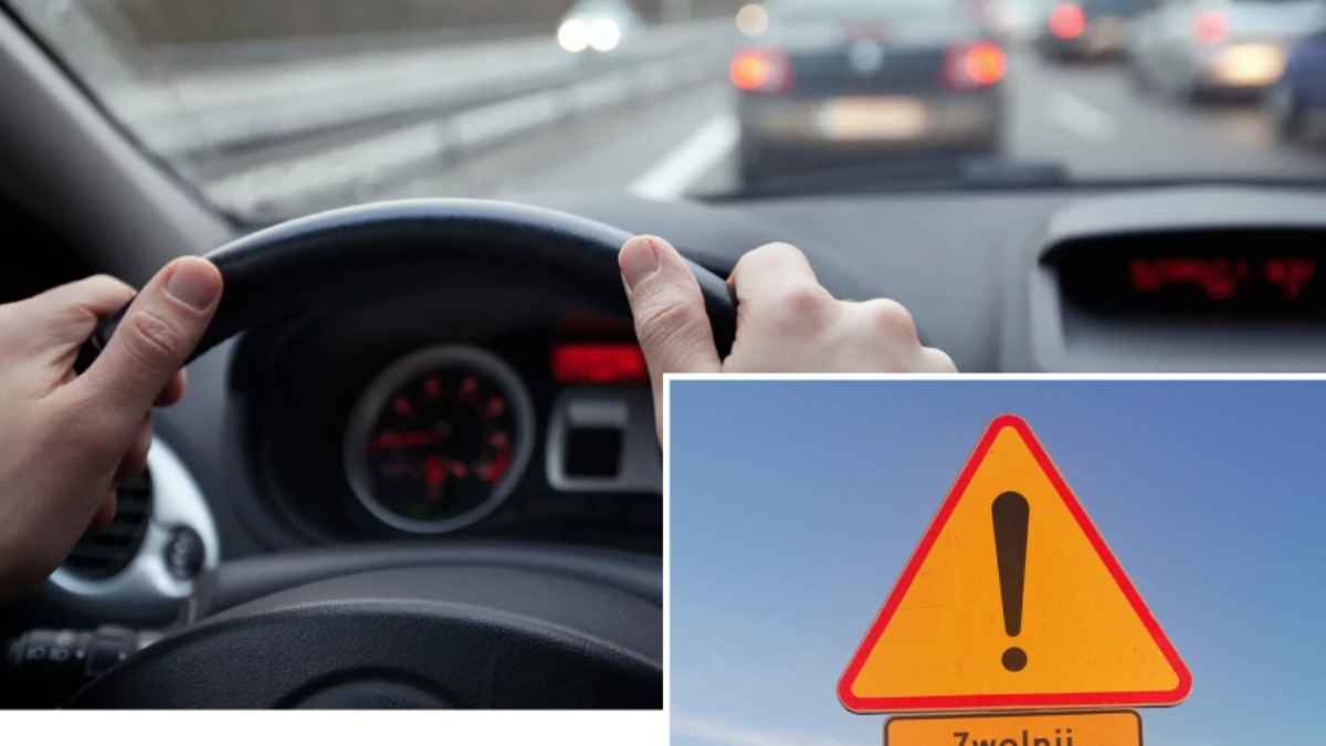 "Звучит весело" — В Польше на дорогах появился необычный знак. Что нужно сделать водителям?