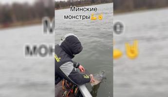 «Красавчик, спасибо тебе!» — В Минске на «Чижовском море» словили 19-килограммового «монстра»