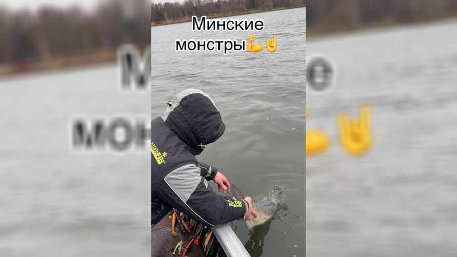 "Красавчик, спасибо тебе!" - В Минске на "Чижовском море" словили 19-килограммового "монстра"