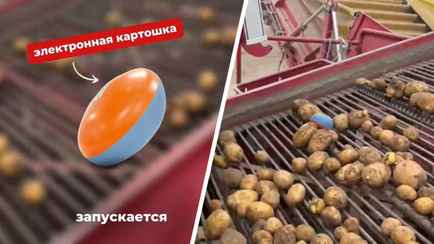 «Мне такая попалась» — «Онега» показала, зачем использует при производстве чипсов «электронную картошку»
