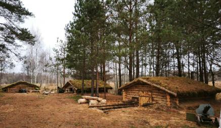 В лесу на Гродненщине построили партизанский лагерь