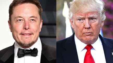 «Машина ненависти» — В США начался «массовый исход из X» после победы Трампа