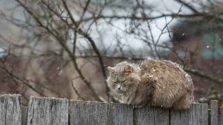 В Беларусь пришёл «арктический холодок» с мокрым снегом. Когда ждать потепления до +12°C?