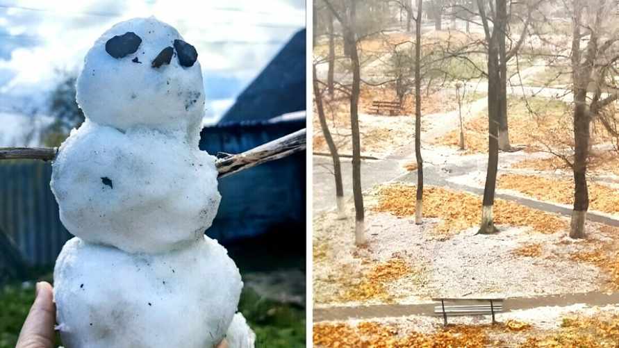 Фото: соцсети