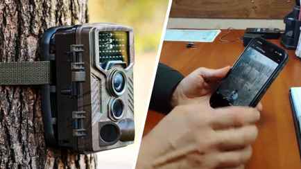 «Теперь по нужде не сходишь» — В Минлесхозе показали, как работают и кого ловят на фотоловушки в белорусских лесах