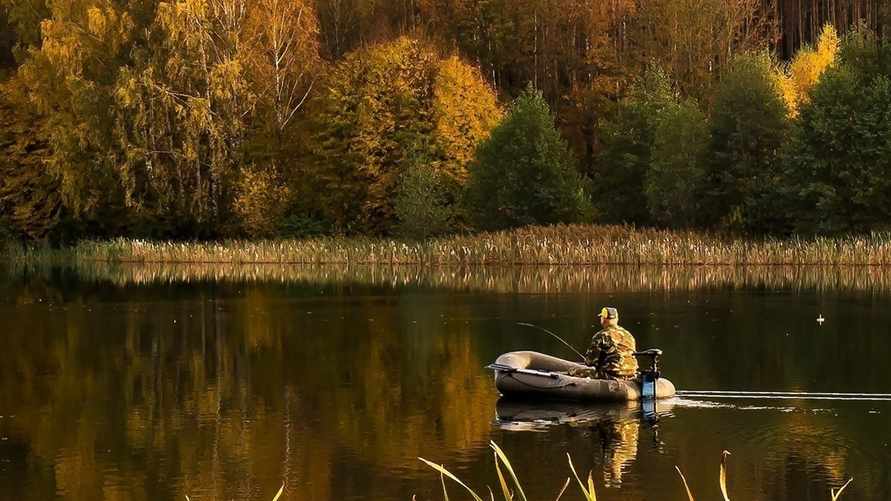 Фото иллюстрационное