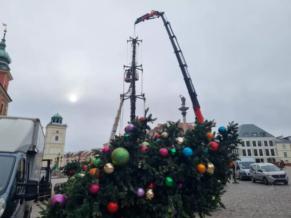 Где в Европе новогодние ёлки претендуют на звание самой высокой, кроме витебской? Собрали фото и видео