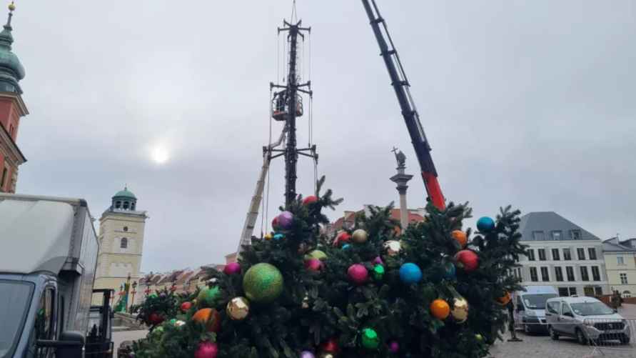 Процесс установки главной ёлки сезона 2024-2025 в Польше. Фото: rdc.pl