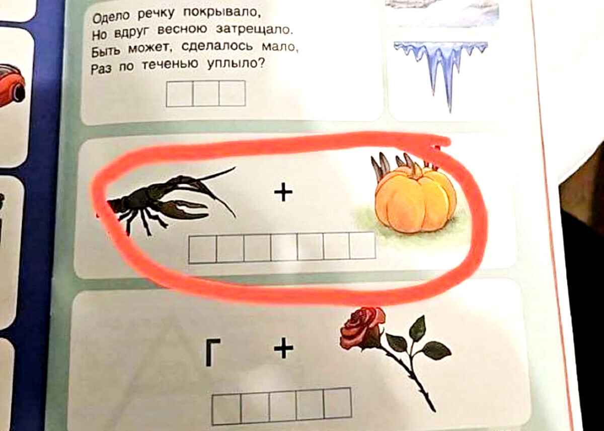 "Понятно же, что это РАКЫКВА " — Этот ребус из учебника довел взрослых "до истерики". Какой правильный ответ?