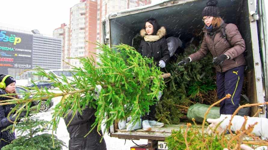 В каком случае белорусам нужно согласовывать установку ёлки? Адвокат объяснила