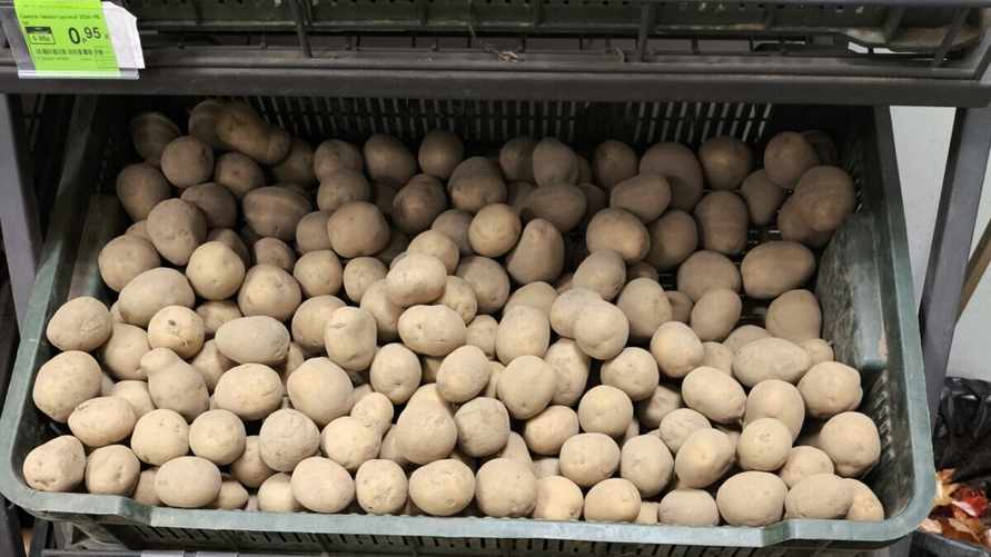 Фермер рассказала, что не так с картошкой в белорусских магазинах. А дефицит будет?