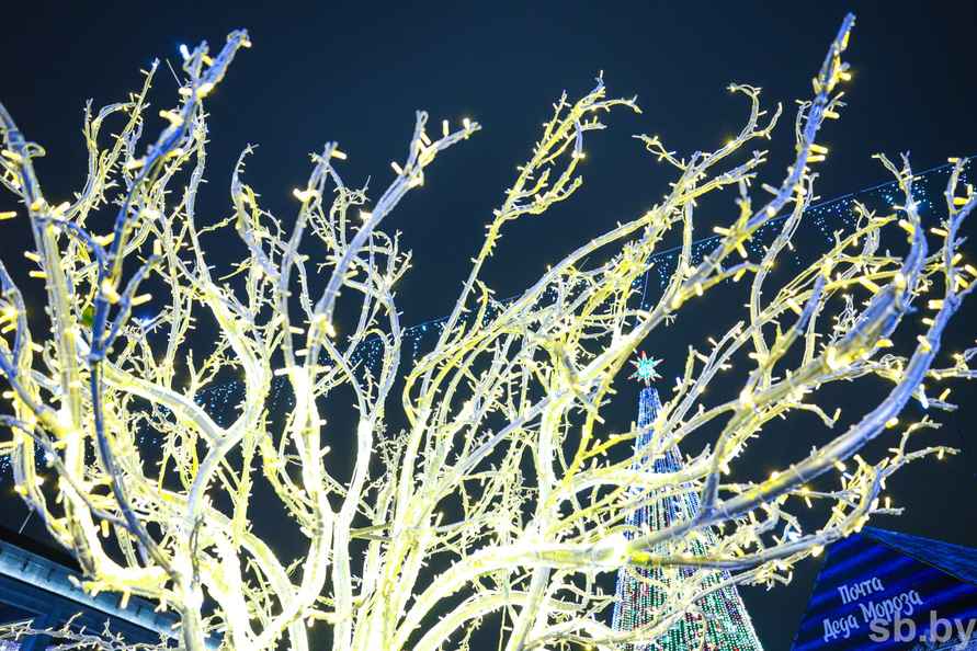 В Минске зажгли главную ёлку страны, на которую пошло 3,2 километра гирлянд