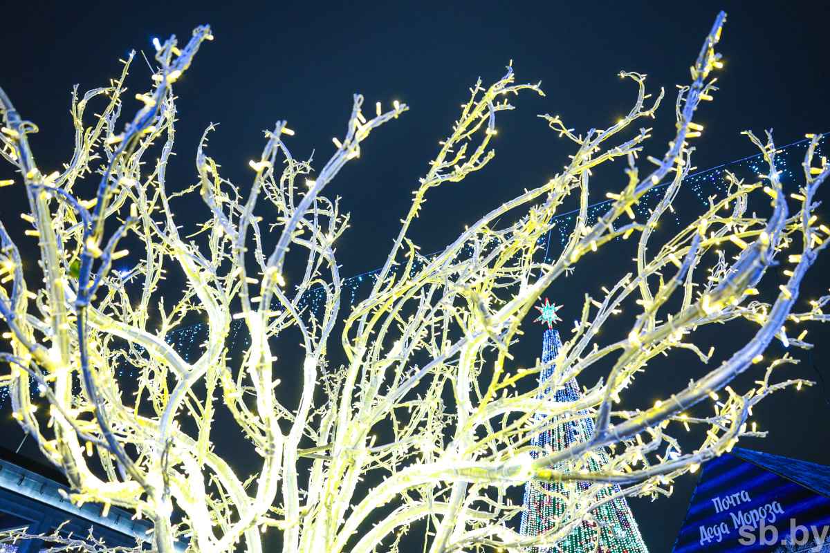 В Минске зажгли главную ёлку страны, на которую пошло 3,2 километра гирлянд