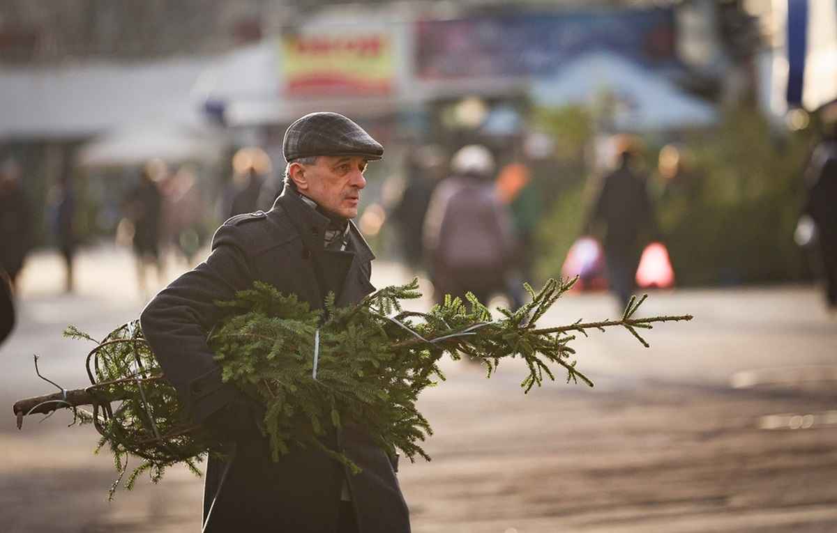 Фото иллюстрационное: Onliner.by