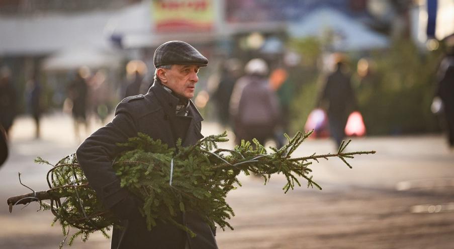 Изначально планировалось, что Минский лесхоз привезёт свои ёлочки