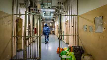 Лукашенко помиловал 29 человек, осуждённых по экстремистским статьям