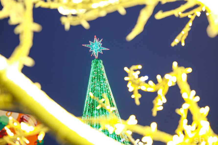 В Минске зажгли главную ёлку страны, на которую пошло 3,2 километра гирлянд