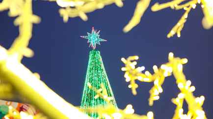 В Минске зажгли главную ёлку страны, на которую пошло 3,2 километра гирлянд