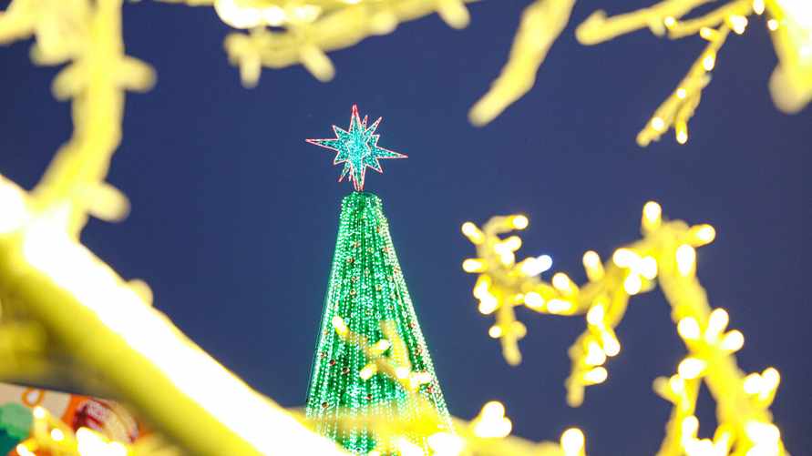 Фото: Елизавета Кобецкая