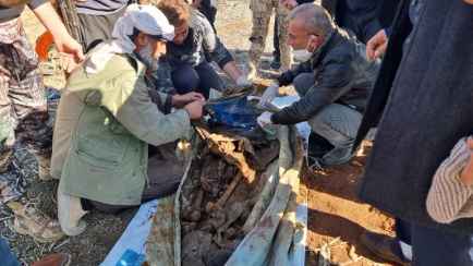 Правозащитники объявили, что нашли в Сирии братскую могилу 100 тыс человек