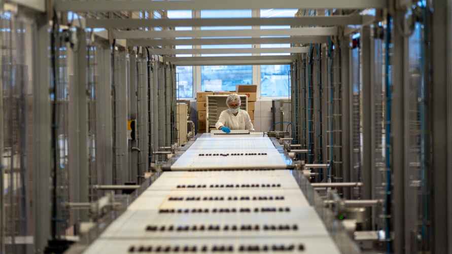 Процесс производства шоколада "Коммунарка". Фото Telegraf.news