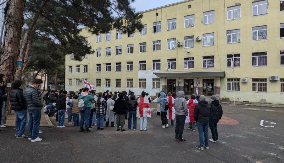 В Грузии забастовку объявили школьники и студенты. Что происходит в стране?