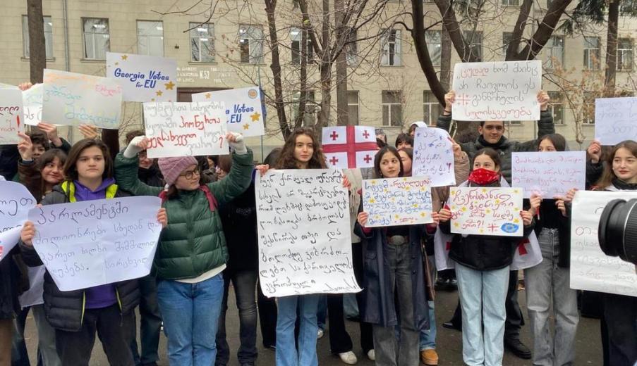 В Грузии забастовку объявили школьники и студенты. Что происходит в стране?