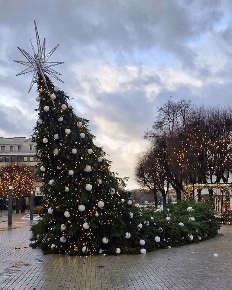 Штормовой ветер устроил ёлкопад в Беларуси и Литве. К чему ещё готовиться?