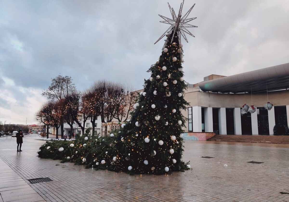 Штормовой ветер устроил ёлкопад в Беларуси и Литве. К чему ещё готовиться?