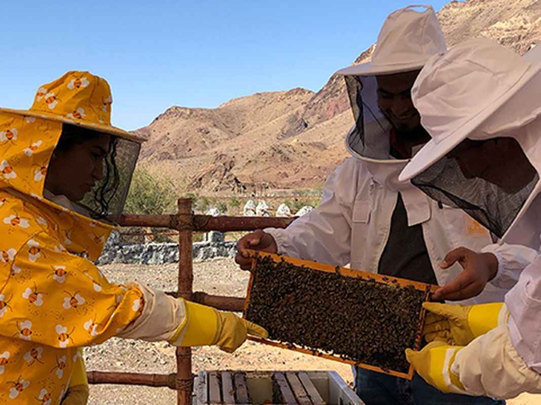 Почему белорусам стоит посетить Дубай в 2025 году? Вот 25 причин