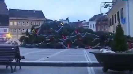 В Румынии упала самая большая ёлка весом 17 тонн