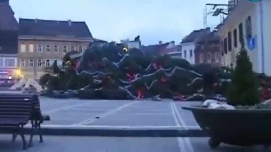 В Румынии упала самая большая ёлка весом 17 тонн