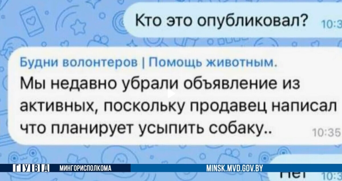 Минчанка отдала "живодеру" больше 800 рублей для выкупа своей собаки. Что произошло?