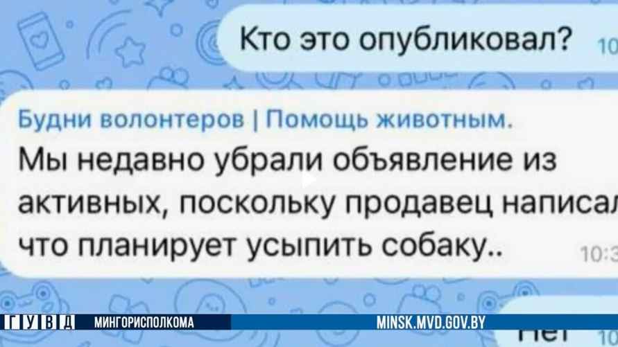 Скриншот: видео ГУВД Мингорисполкома