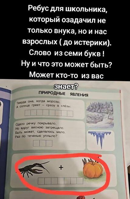 "Понятно же, что это РАКЫКВА " — Этот ребус из учебника довел взрослых "до истерики". Какой правильный ответ?