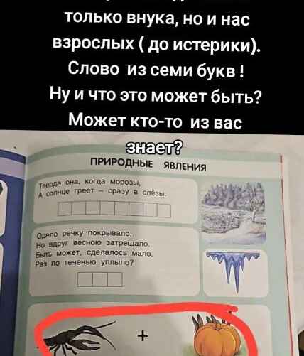 Скриншот из TikTok