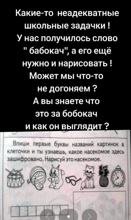 "Понятно же, что это РАКЫКВА " — Этот ребус из учебника довел взрослых "до истерики". Какой правильный ответ?