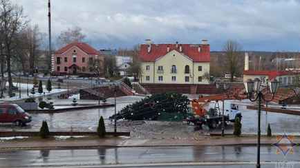 Не только упавшие елки. В МЧС назвали количество населенных пунктов в Беларуси, пострадавших от непогоды