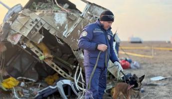 В Azerbaijan Airlines назвали причиной крушения самолёта под Актау «физическое и техническое внешнее вмешательство»