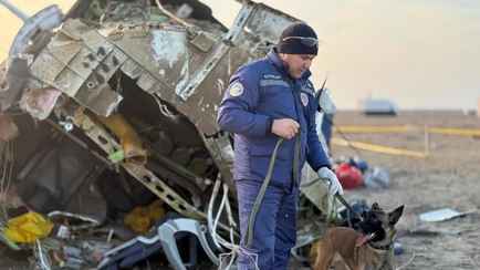 В Azerbaijan Airlines назвали причиной крушения самолёта под Актау «физическое и техническое внешнее вмешательство»