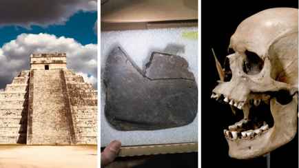 Сохранившиеся древние мозги и затерянный город. Собрали 11 главных археологических открытий 2024 года