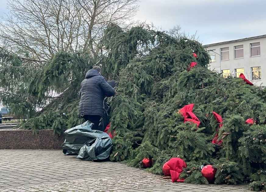 Штормовой ветер устроил ёлкопад в Беларуси и Литве. К чему ещё готовиться?