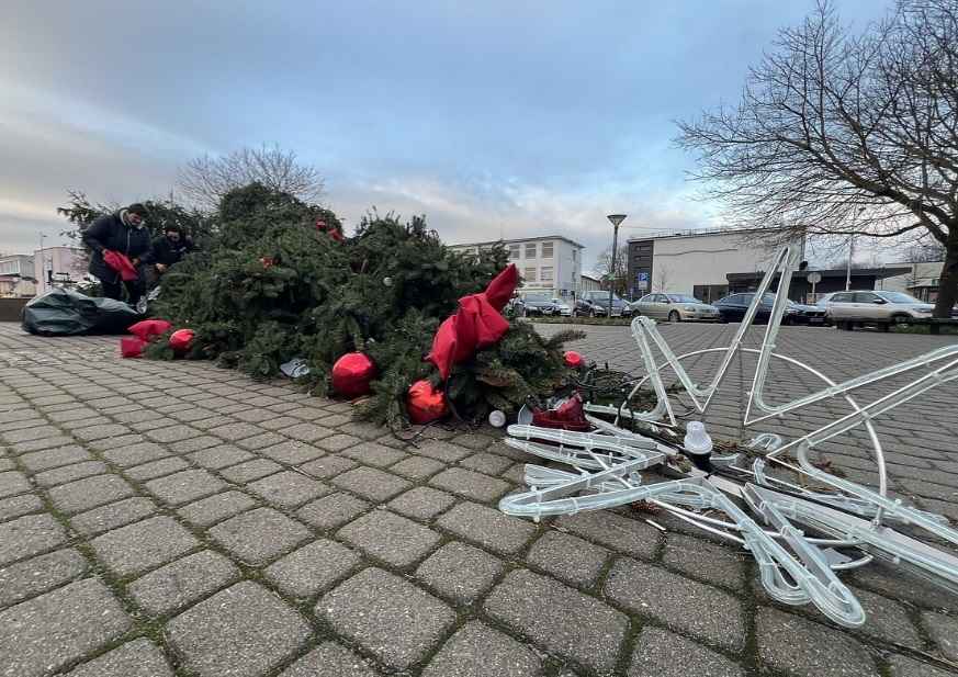 Штормовой ветер устроил ёлкопад в Беларуси и Литве. К чему ещё готовиться?